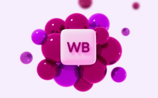 Wildberries打通中俄B2B新通道：这不是简单招商，而是平台型跨境贸易的再升级