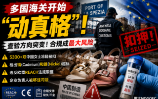 海外海关查验方向突变，中国卖家这5类产品要当心