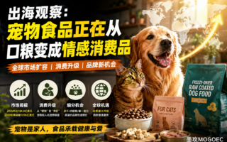 为什么宠物食品特别适合做独立站和内容营销？